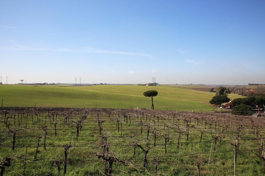 Villa Grappoli Di Sole Rom Exterior foto